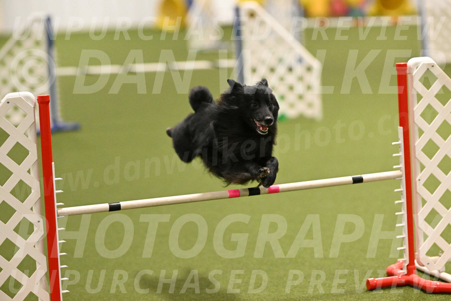 Okos-Stacie-Rosenburg-04243