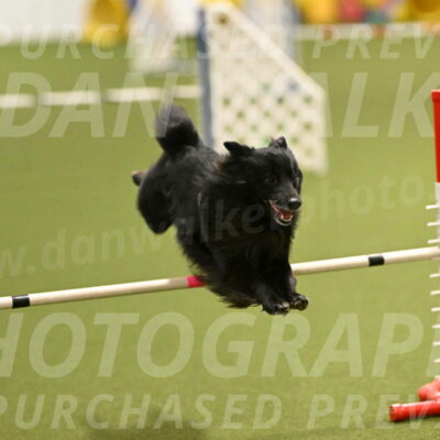 Okos-Stacie-Rosenburg-04244