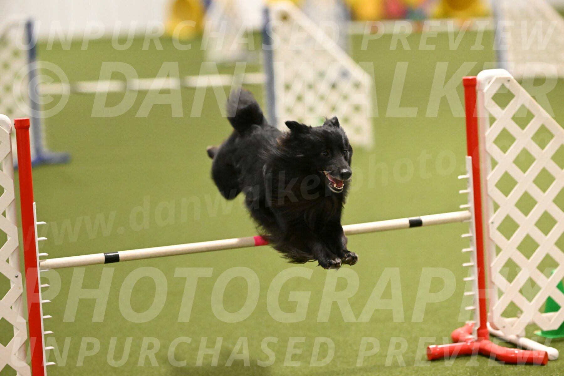 Okos-Stacie-Rosenburg-04244