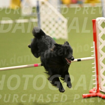 Okos-Stacie-Rosenburg-04245