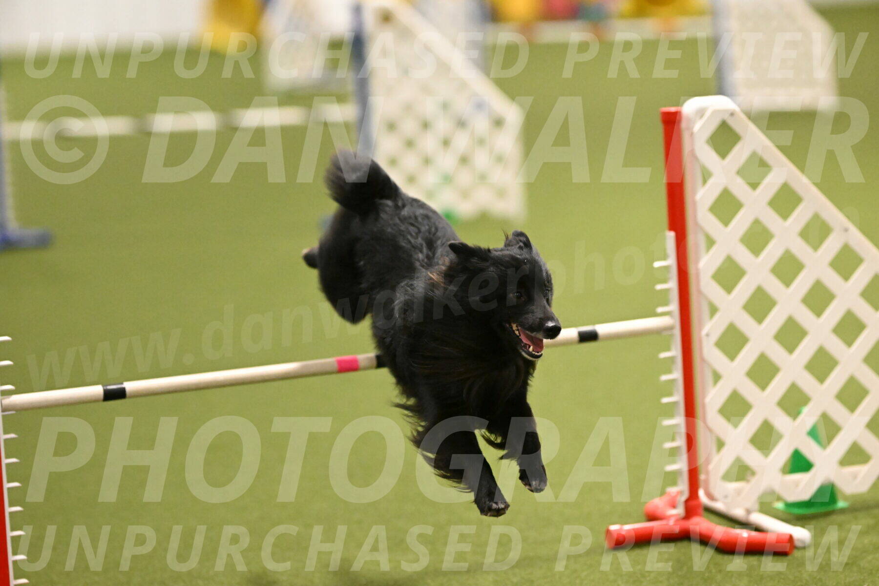 Okos-Stacie-Rosenburg-04245