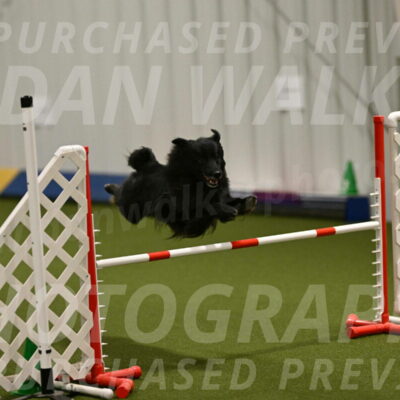 Okos-Stacie-Rosenburg-04246