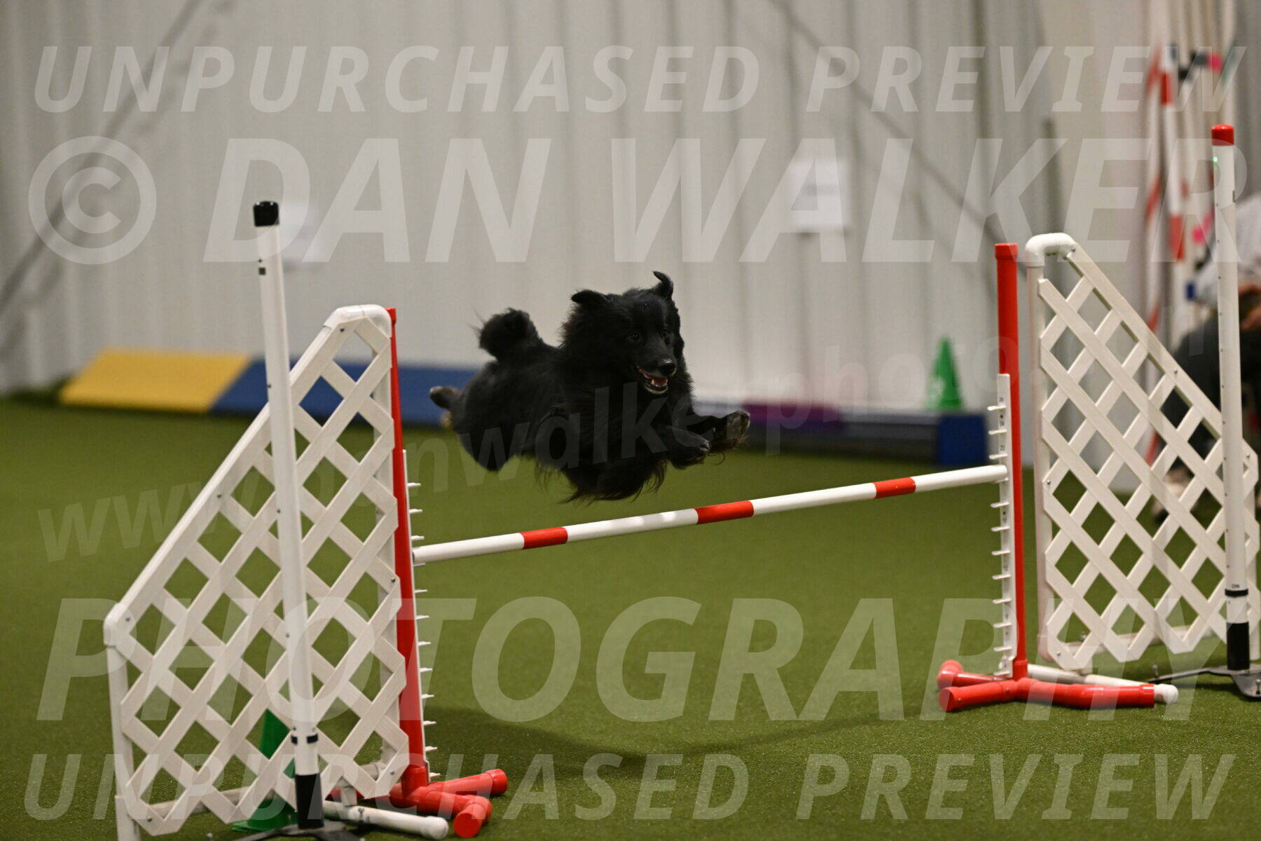 Okos-Stacie-Rosenburg-04246