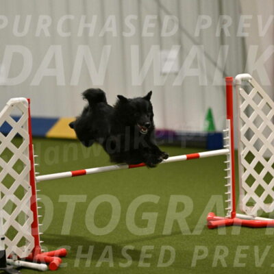 Okos-Stacie-Rosenburg-04247