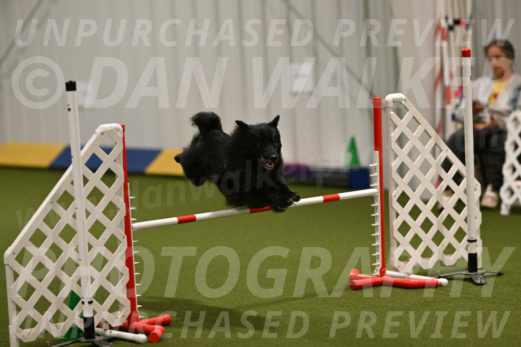 Okos-Stacie-Rosenburg-04247