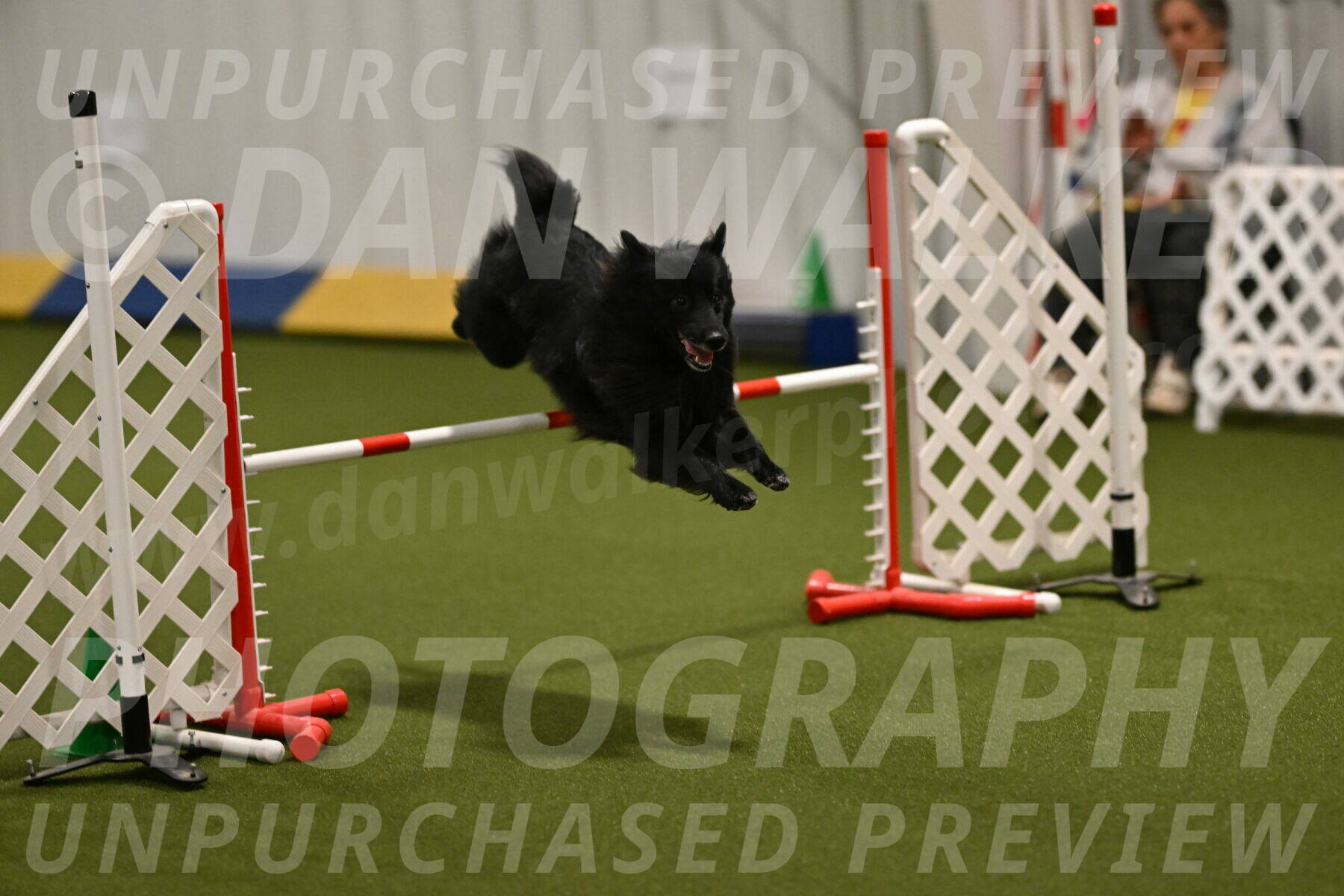 Okos-Stacie-Rosenburg-04248