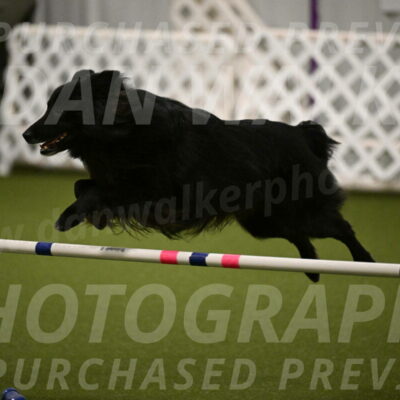 Okos-Stacie-Rosenburg-04249