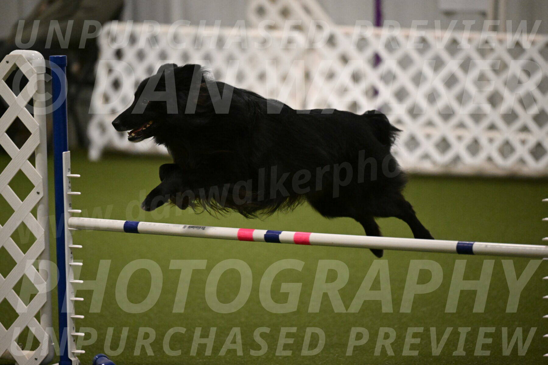 Okos-Stacie-Rosenburg-04249