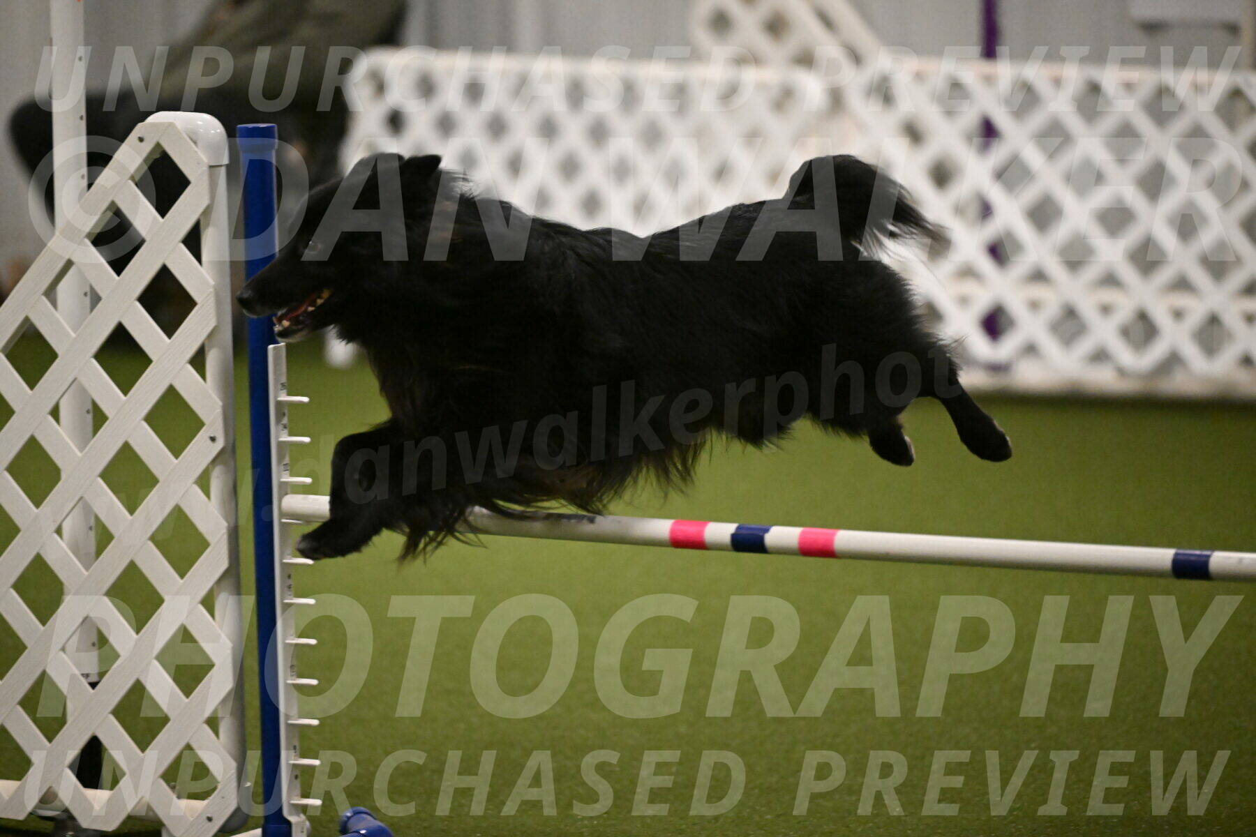 Okos-Stacie-Rosenburg-04250