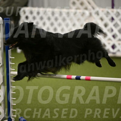 Okos-Stacie-Rosenburg-04250