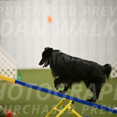 Okos-Stacie-Rosenburg-04254