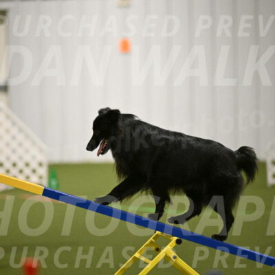 Okos-Stacie-Rosenburg-04255