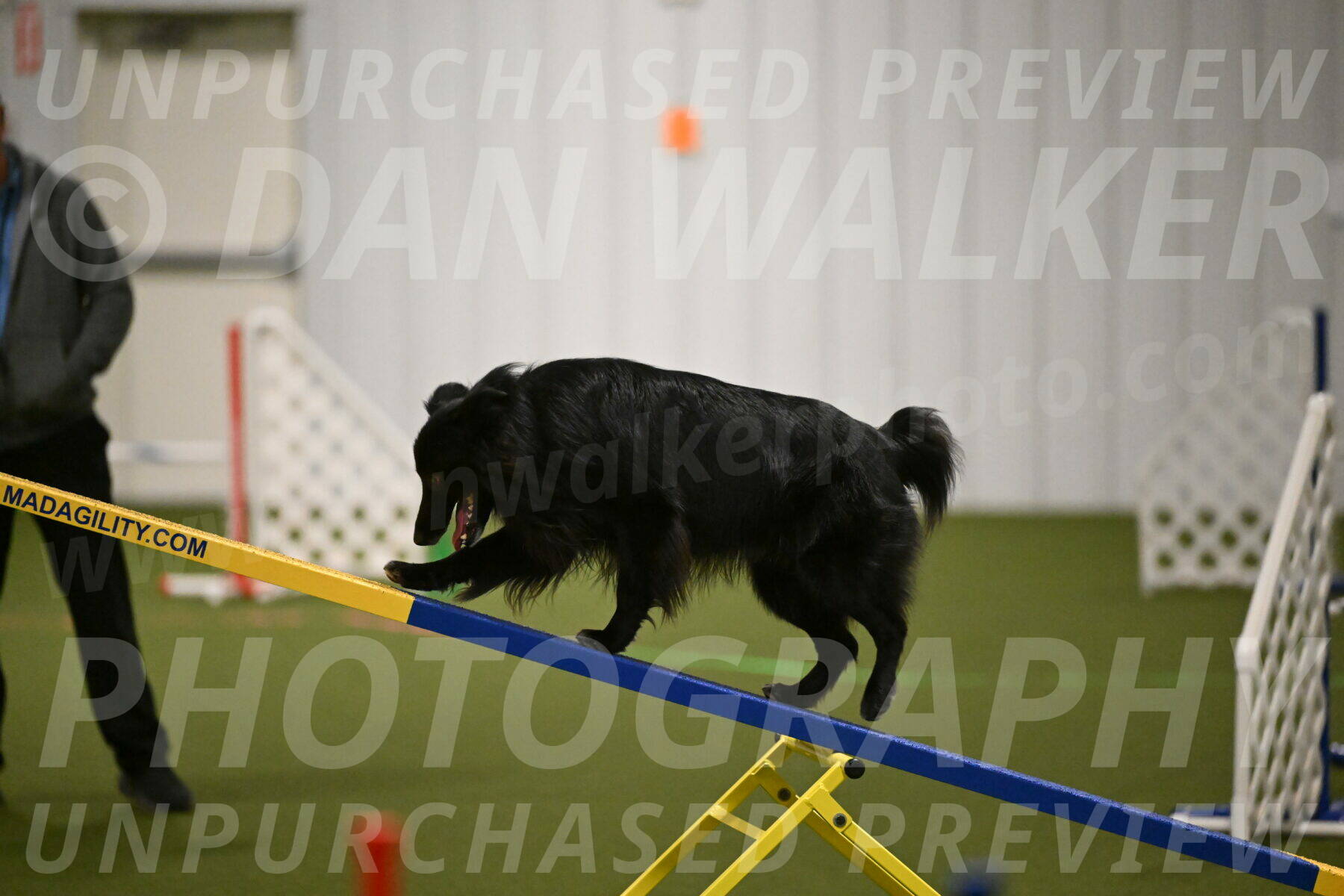 Okos-Stacie-Rosenburg-04256