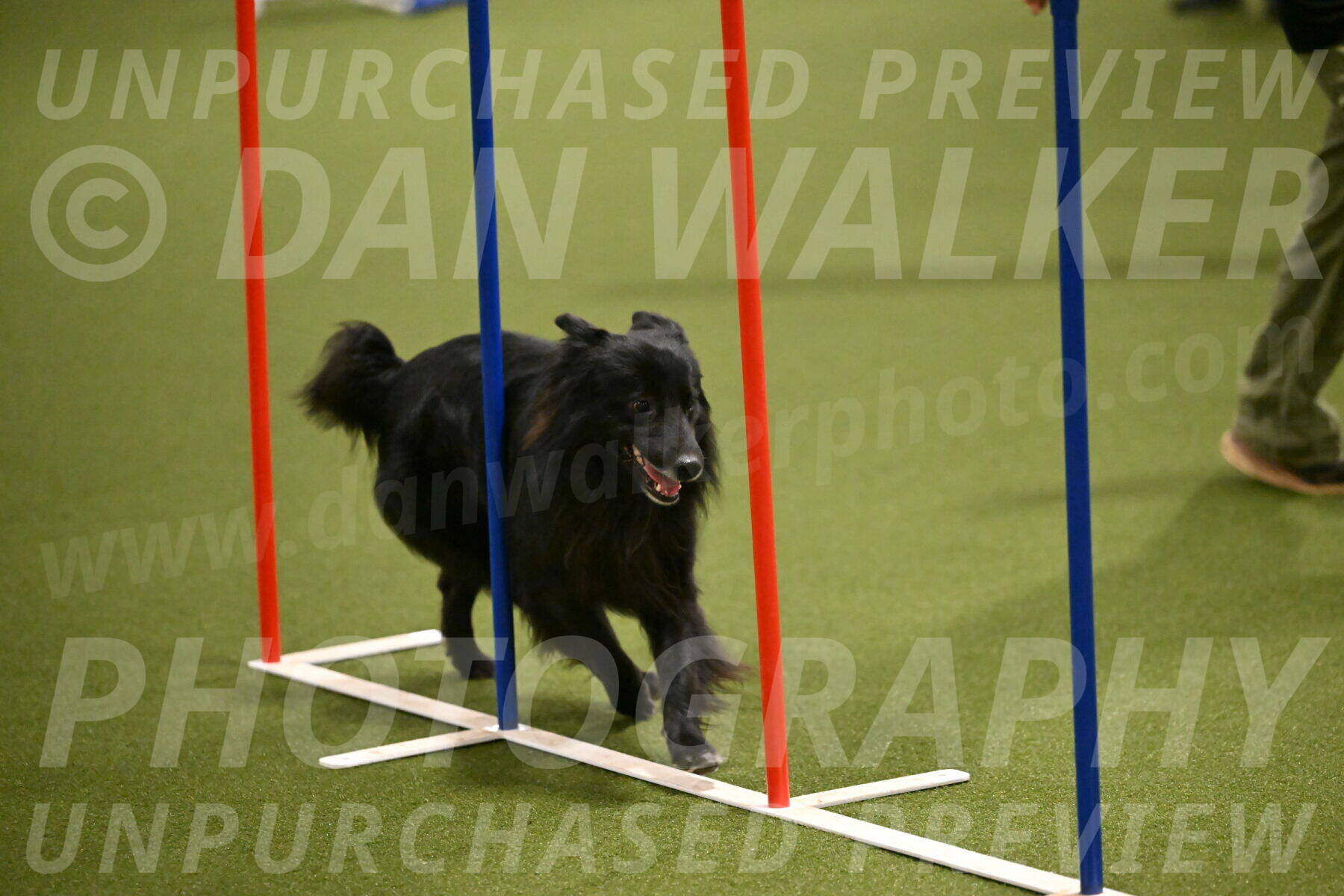 Okos-Stacie-Rosenburg-04258