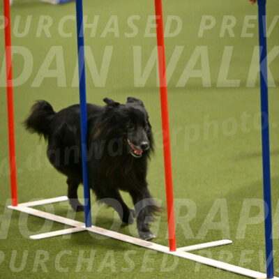 Okos-Stacie-Rosenburg-04258