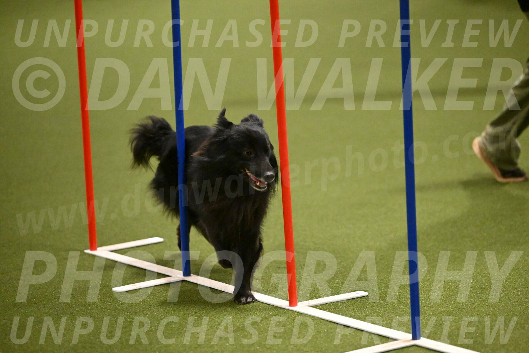 Okos-Stacie-Rosenburg-04259