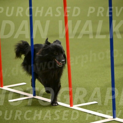 Okos-Stacie-Rosenburg-04259