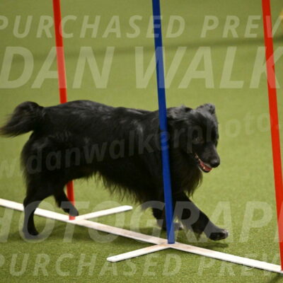 Okos-Stacie-Rosenburg-04260