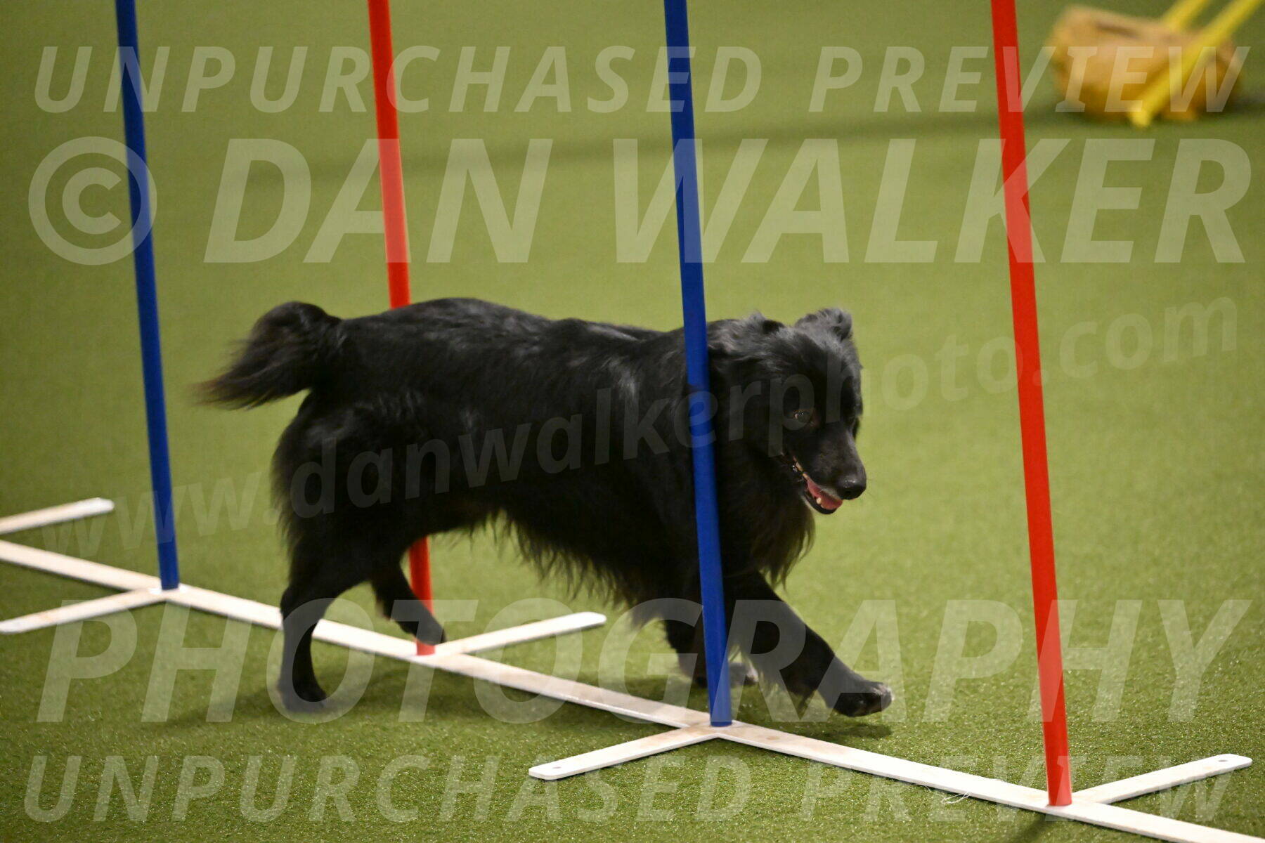 Okos-Stacie-Rosenburg-04260