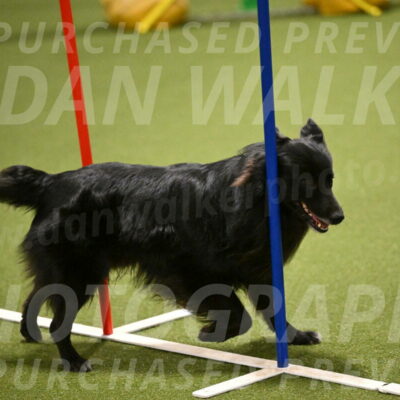 Okos-Stacie-Rosenburg-04261