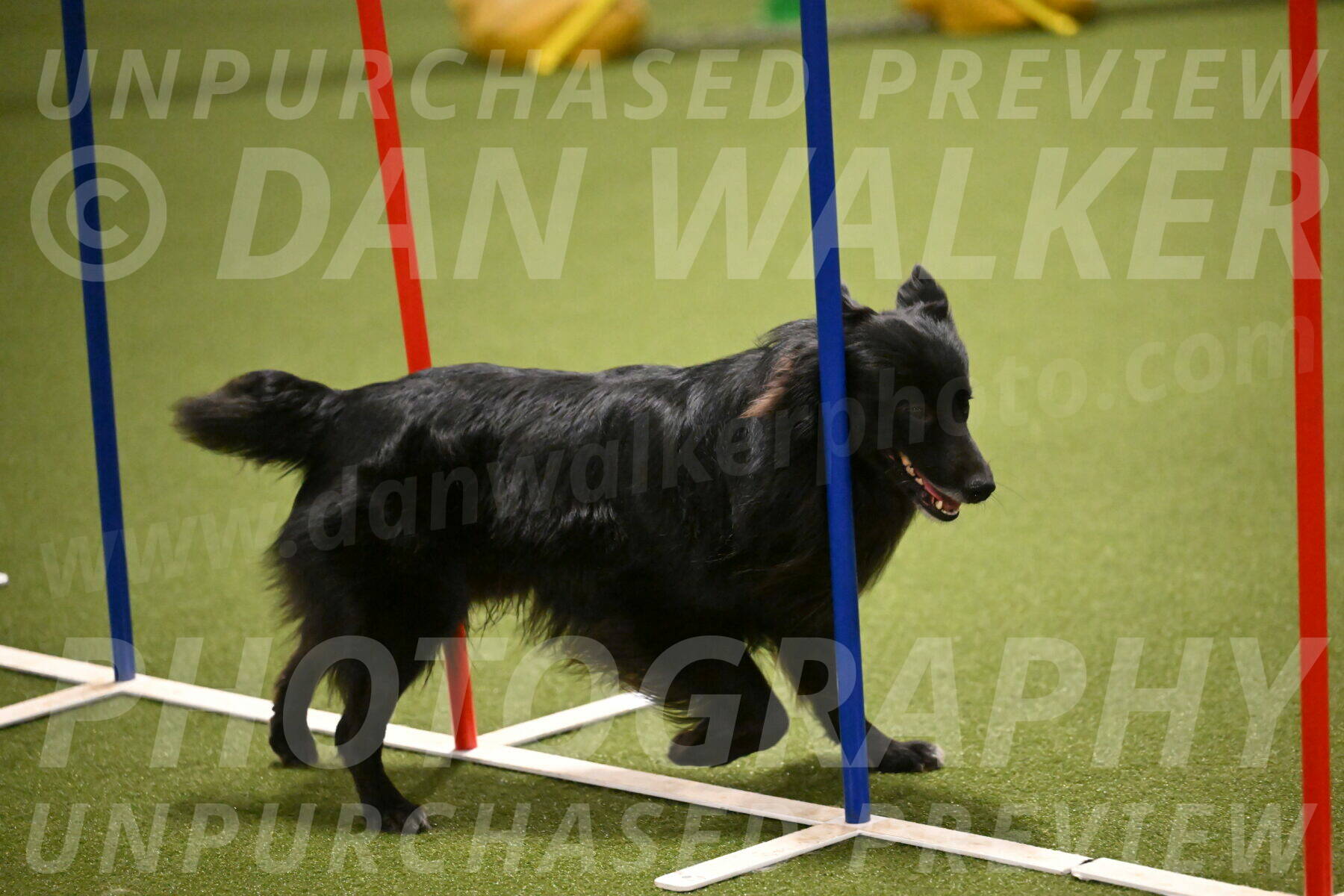 Okos-Stacie-Rosenburg-04261