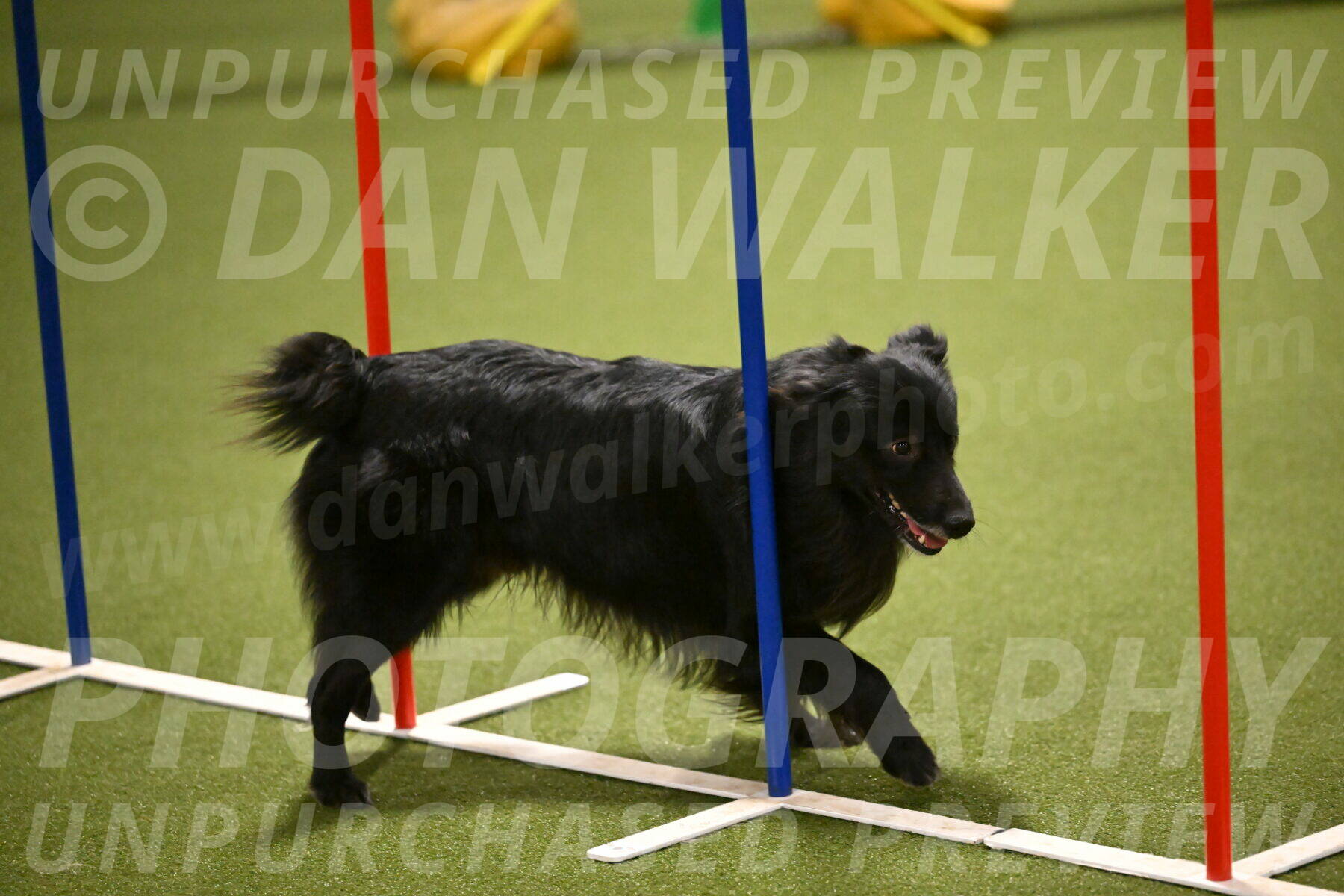 Okos-Stacie-Rosenburg-04262