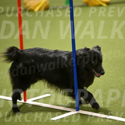 Okos-Stacie-Rosenburg-04262