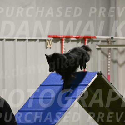 Okos-Stacie-Rosenburg-04263