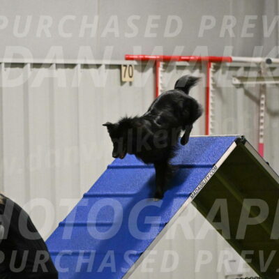 Okos-Stacie-Rosenburg-04264