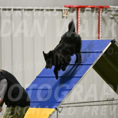 Okos-Stacie-Rosenburg-04265