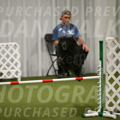 Okos-Stacie-Rosenburg-04267