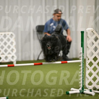 Okos-Stacie-Rosenburg-04268