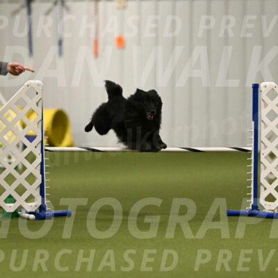 Okos-Stacie-Rosenburg-04270