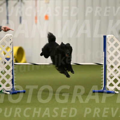 Okos-Stacie-Rosenburg-04271