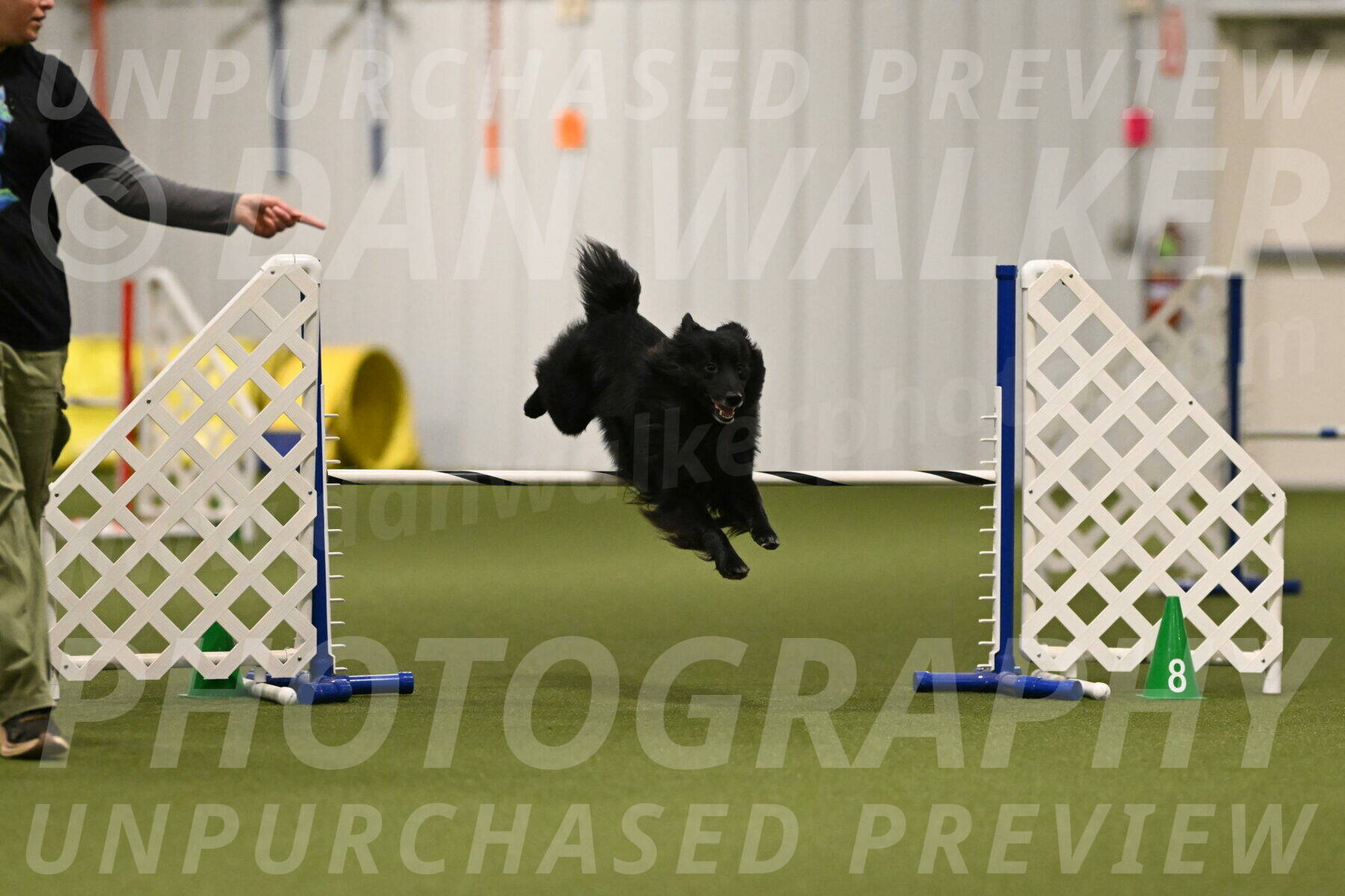 Okos-Stacie-Rosenburg-04271