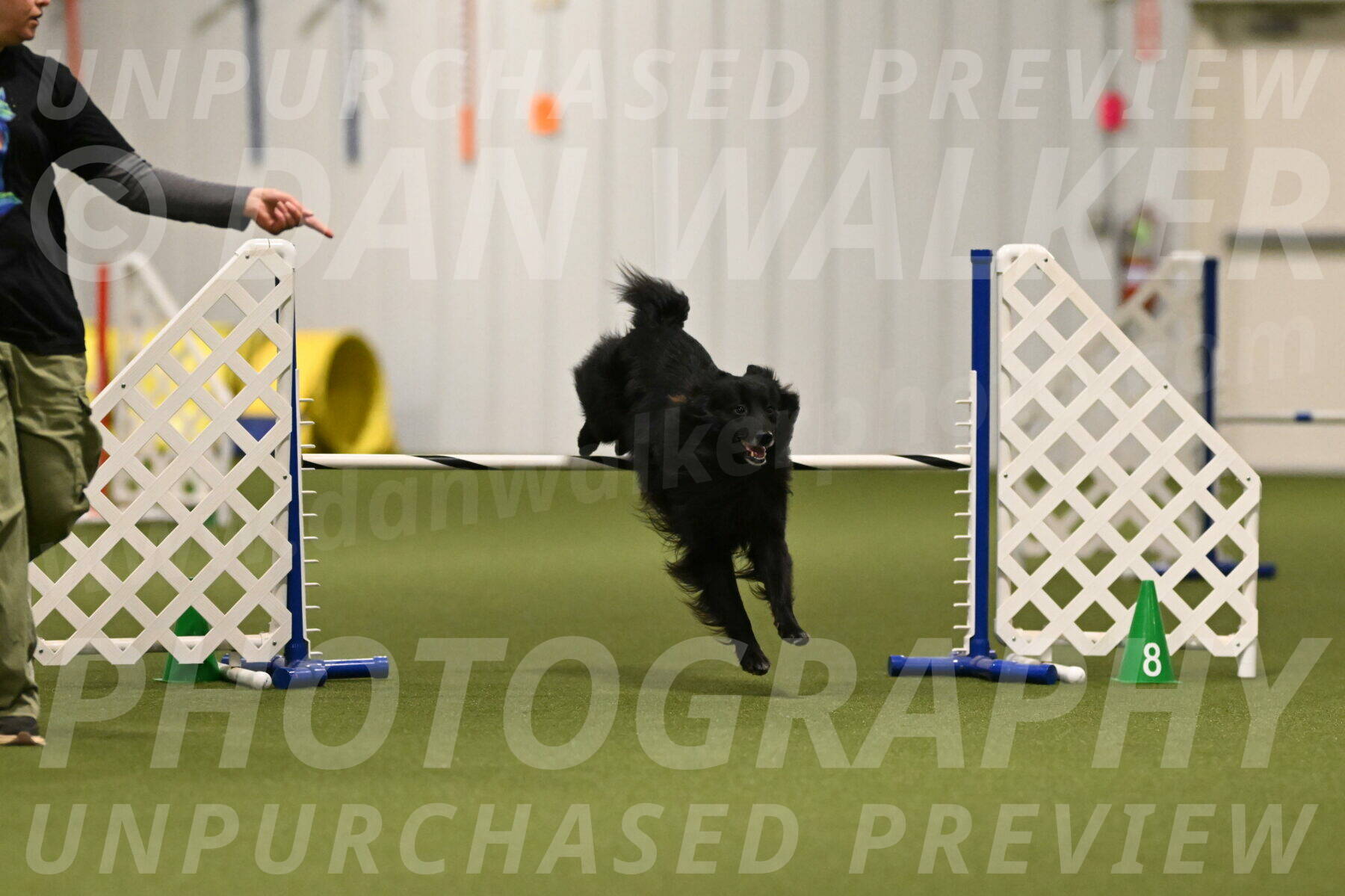 Okos-Stacie-Rosenburg-04272