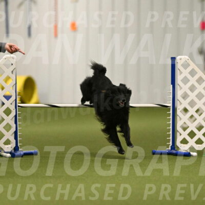 Okos-Stacie-Rosenburg-04272