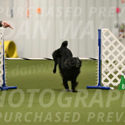 Okos-Stacie-Rosenburg-04273