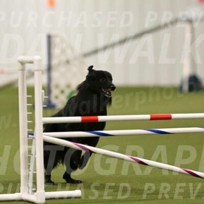 Okos-Stacie-Rosenburg-04274