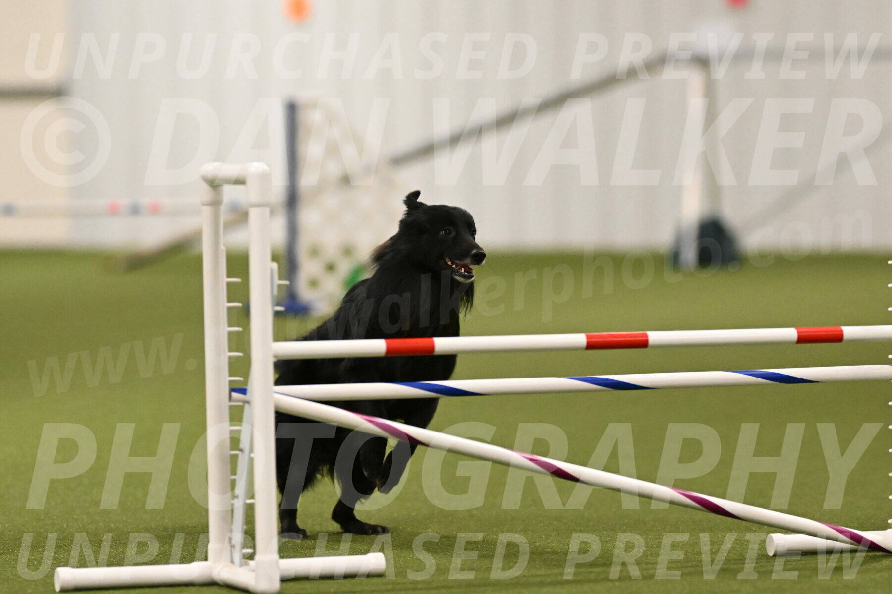 Okos-Stacie-Rosenburg-04274