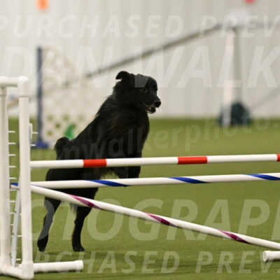 Okos-Stacie-Rosenburg-04275