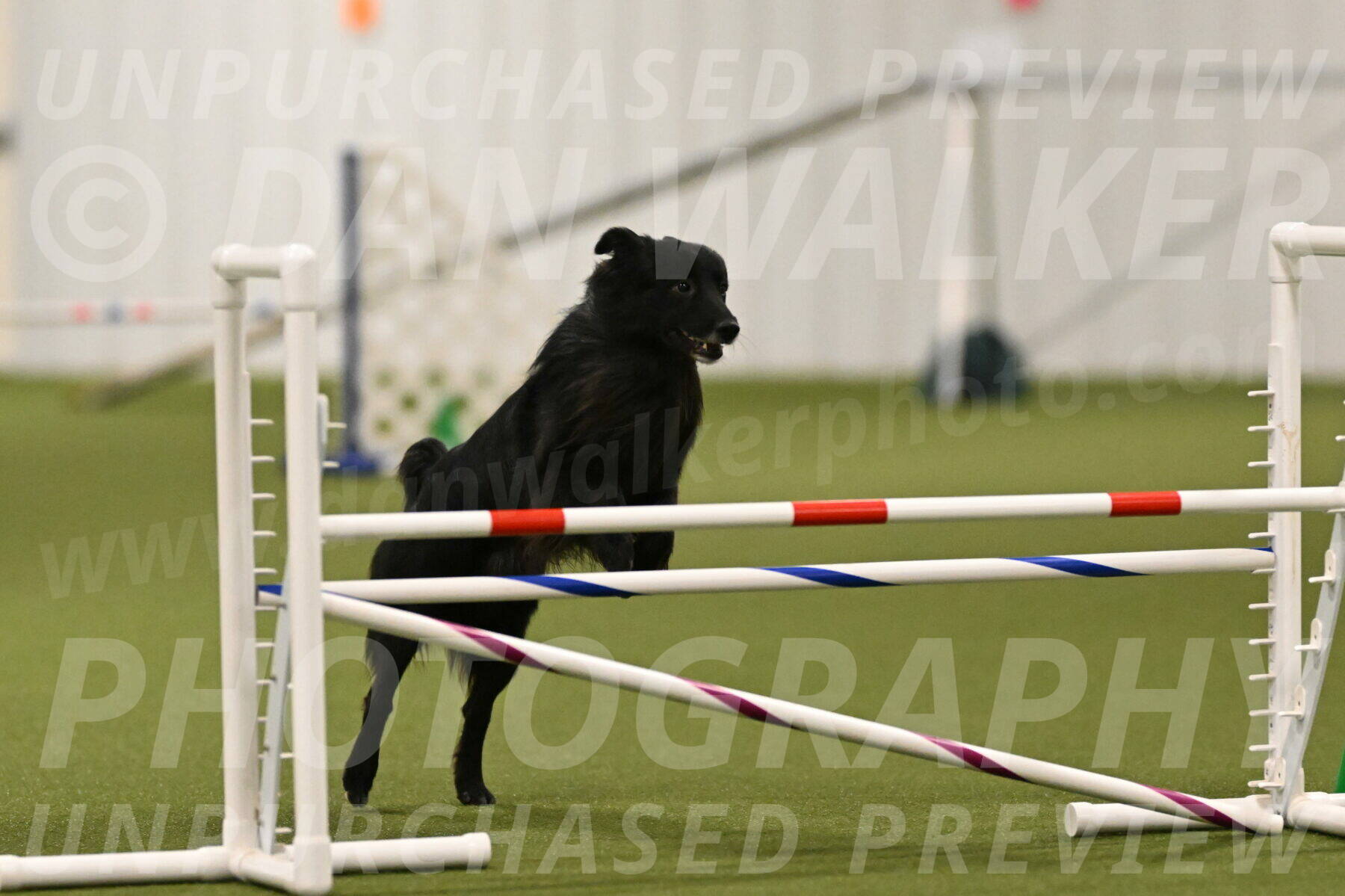 Okos-Stacie-Rosenburg-04275