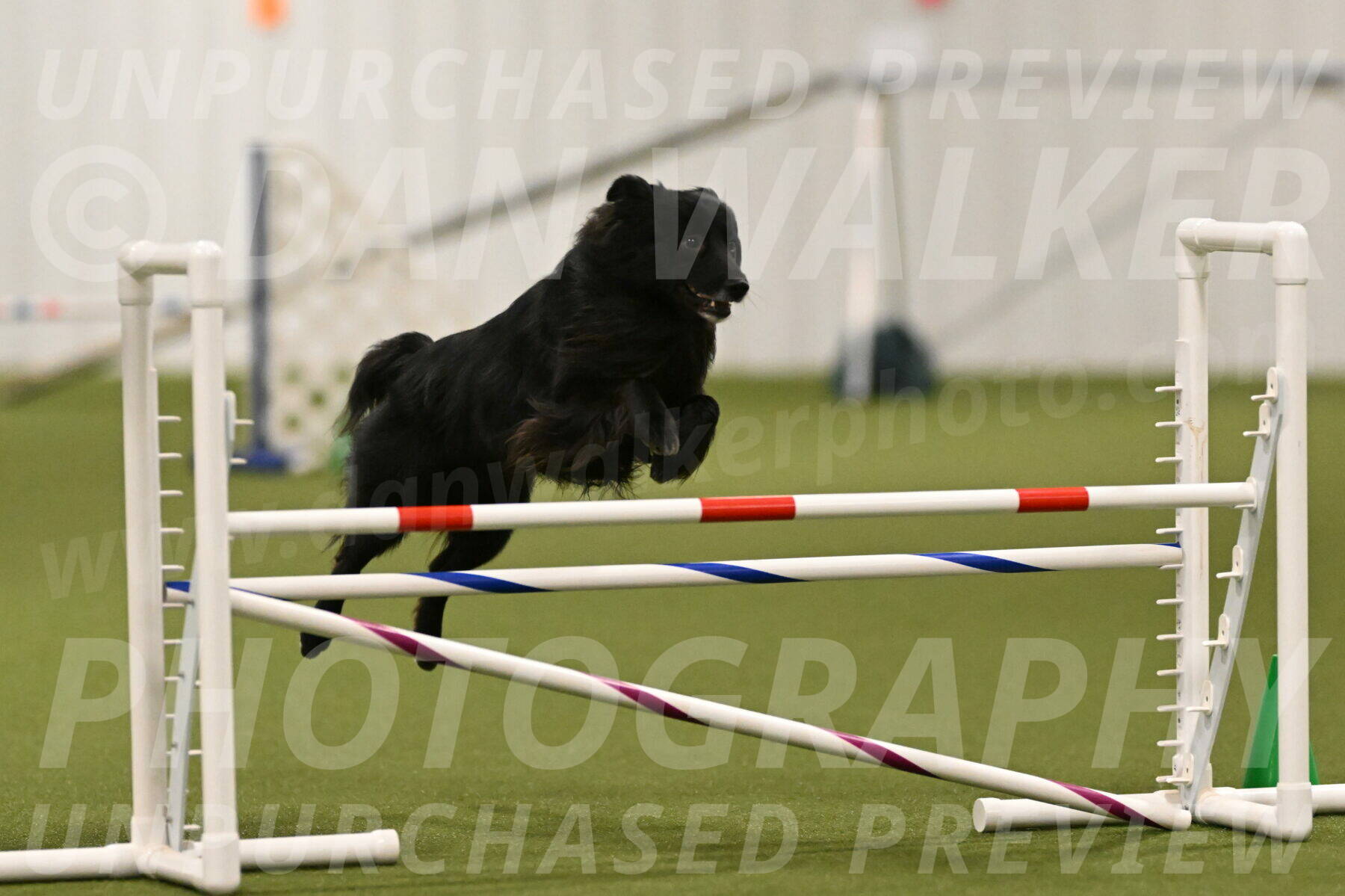 Okos-Stacie-Rosenburg-04276