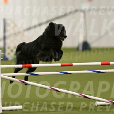 Okos-Stacie-Rosenburg-04276