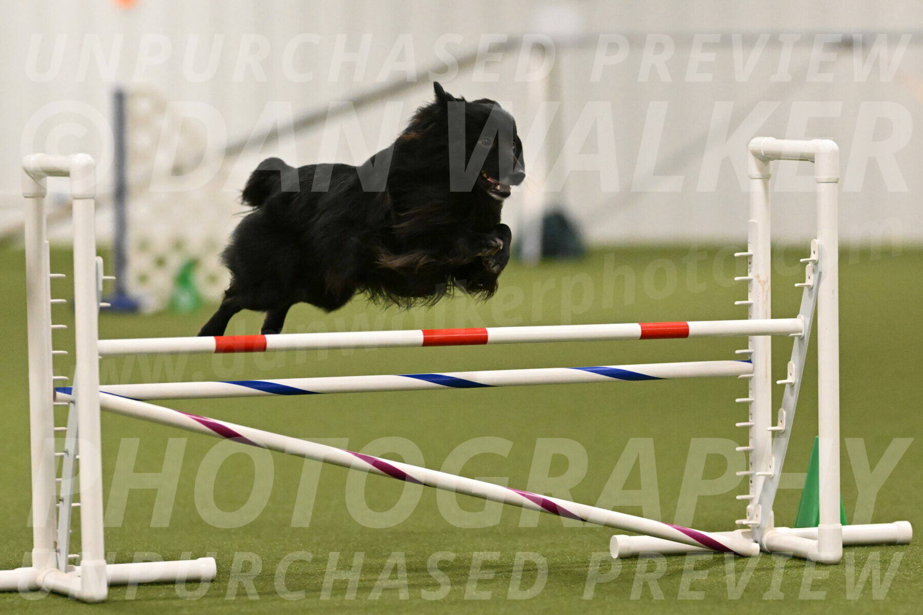 Okos-Stacie-Rosenburg-04277