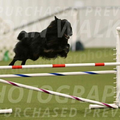 Okos-Stacie-Rosenburg-04277