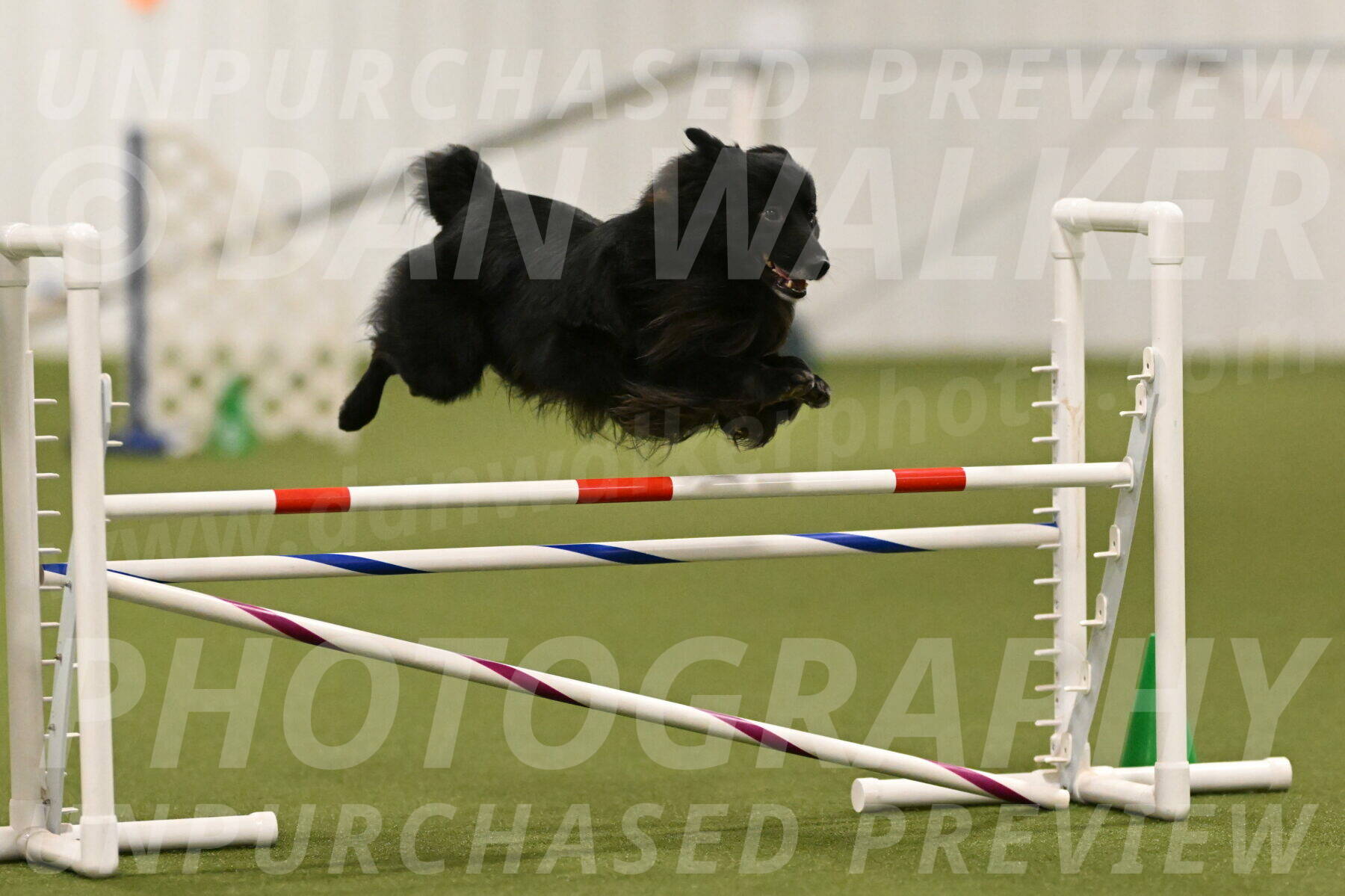 Okos-Stacie-Rosenburg-04278