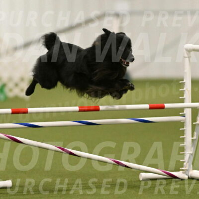 Okos-Stacie-Rosenburg-04278