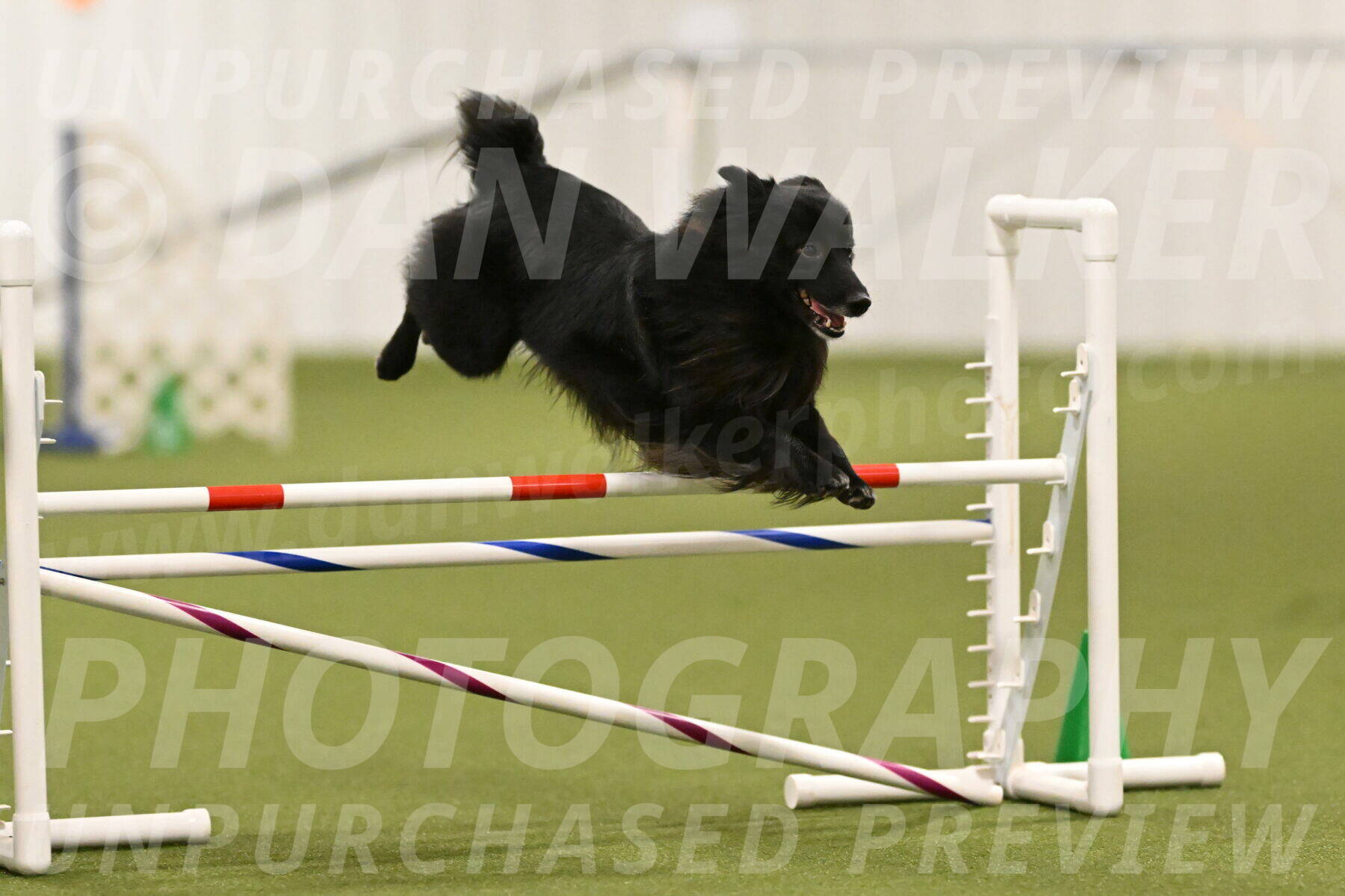 Okos-Stacie-Rosenburg-04279