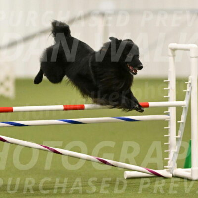 Okos-Stacie-Rosenburg-04279